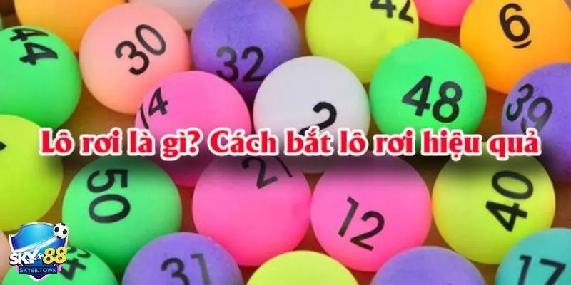 cách đánh lô rơi Tìm hiểu tổng quan về cách đánh lô rơi là gì?